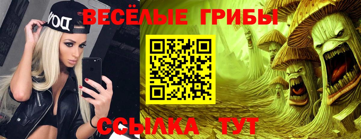 где купить наркоту  Вход с VPN  Лыткарино  Галлюциногенные грибы ЛСД 